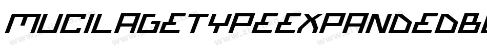 MucilageTypeExpandedBold-4jvx字体转换