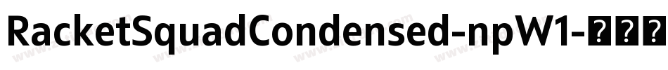 RacketSquadCondensed-npW1字体转换