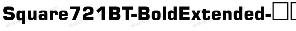 Square721BT-BoldExtended字体转换