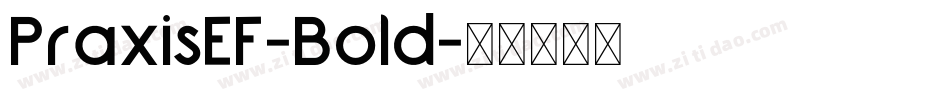 PraxisEF-Bold字体转换
