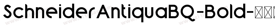 SchneiderAntiquaBQ-Bold字体转换