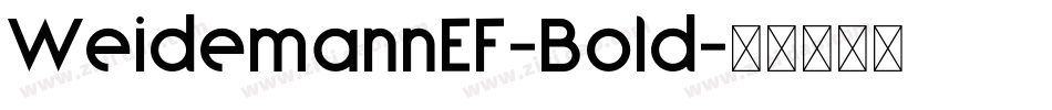 WeidemannEF-Bold字体转换