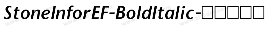 StoneInforEF-BoldItalic字体转换