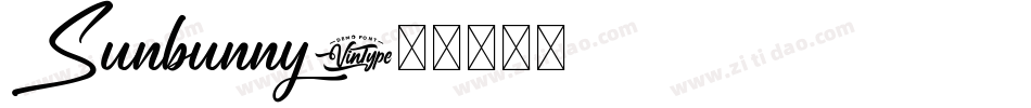 Sunbunny字体转换