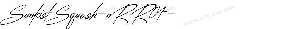 SunkistSquash-nRR04字体转换