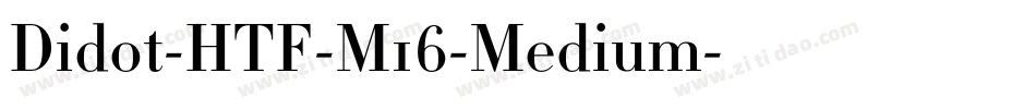 Didot-HTF-M16-Medium字体转换