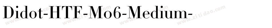 Didot-HTF-M06-Medium字体转换