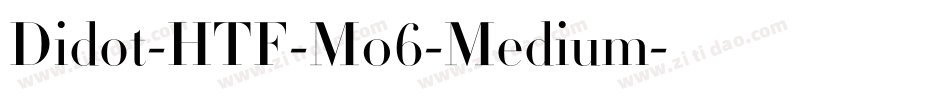 Didot-HTF-M06-Medium字体转换