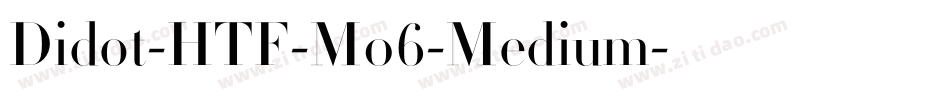 Didot-HTF-M06-Medium字体转换