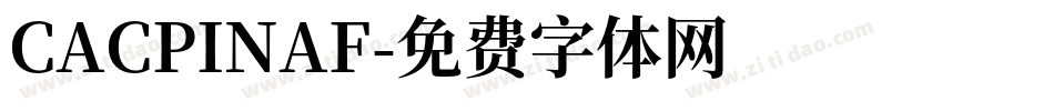 CACPINAF字体转换
