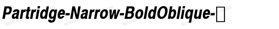 Partridge-Narrow-BoldOblique字体转换