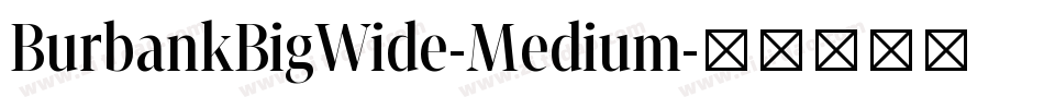 BurbankBigWide-Medium字体转换