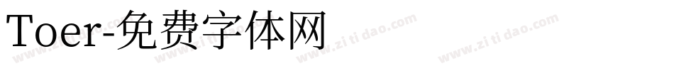 Toer字体转换
