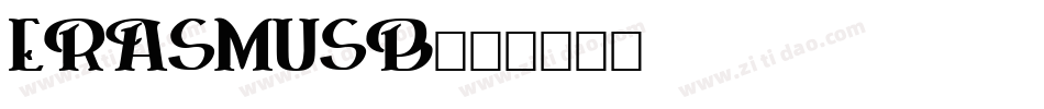 ERASMUSB字体转换