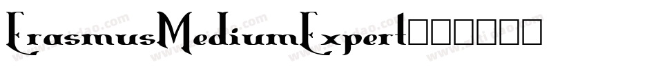 ErasmusMediumExpert字体转换