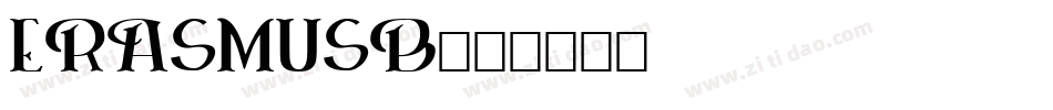 ERASMUSB字体转换