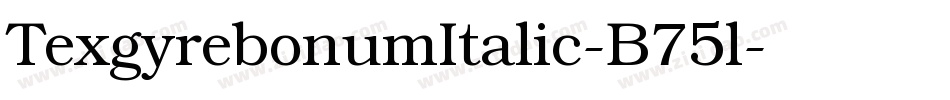 TexgyrebonumItalic-B75l字体转换
