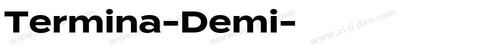 Termina-Demi字体转换