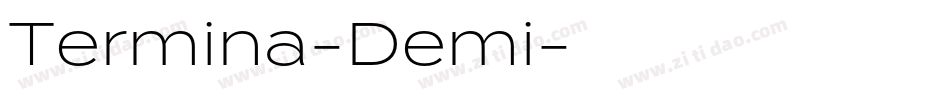 Termina-Demi字体转换