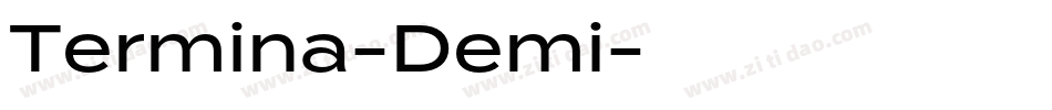 Termina-Demi字体转换