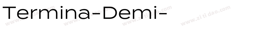 Termina-Demi字体转换