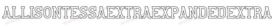 AllisonTessaExtraExpandedExtrablack-R6WM-2字体转换