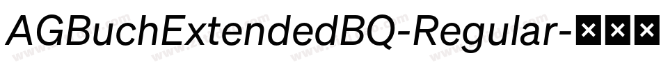 AGBuchExtendedBQ-Regular字体转换