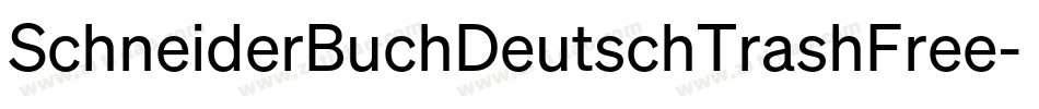 SchneiderBuchDeutschTrashFree-YlWa字体转换