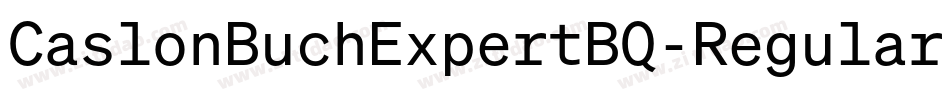 CaslonBuchExpertBQ-Regular字体转换