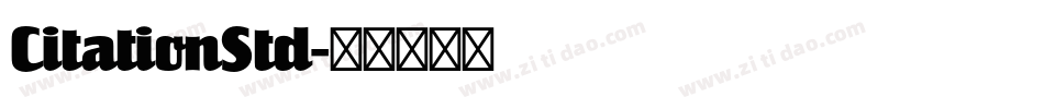 CitationStd字体转换