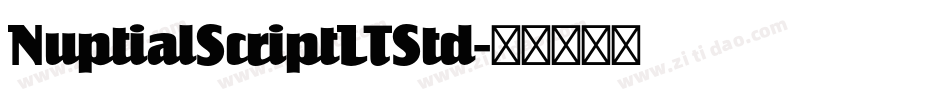 NuptialScriptLTStd字体转换 NuptialScriptLTStd字体转换