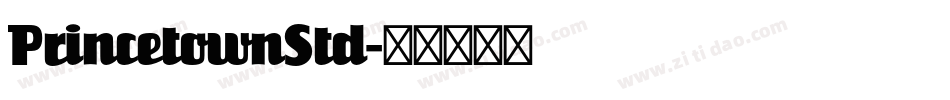 PrincetownStd字体转换