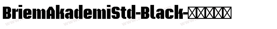 BriemAkademiStd-Black字体转换