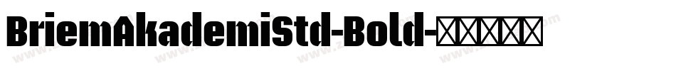 BriemAkademiStd-Bold字体转换