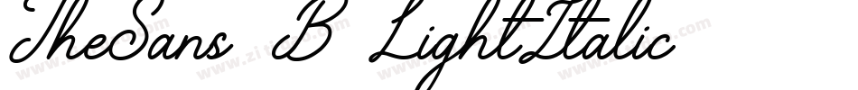 TheSans-B3LightItalic字体转换
