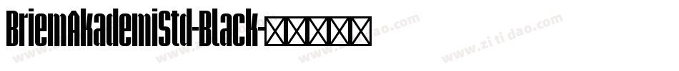 BriemAkademiStd-Black字体转换