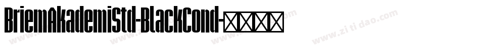 BriemAkademiStd-BlackCond字体转换