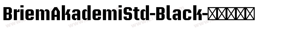 BriemAkademiStd-Black字体转换