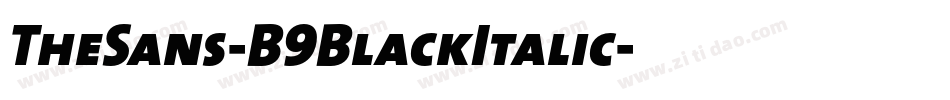 TheSans-B9BlackItalic字体转换