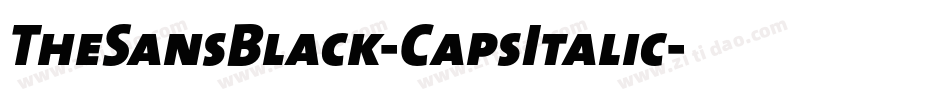 TheSansBlack-CapsItalic字体转换