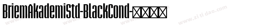 BriemAkademiStd-BlackCond字体转换