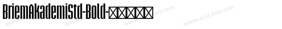 BriemAkademiStd-Bold字体转换