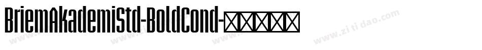 BriemAkademiStd-BoldCond字体转换