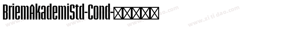 BriemAkademiStd-Cond字体转换