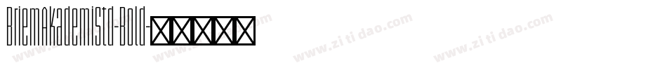 BriemAkademiStd-Bold字体转换