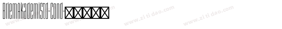 BriemAkademiStd-Cond字体转换