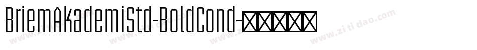 BriemAkademiStd-BoldCond字体转换