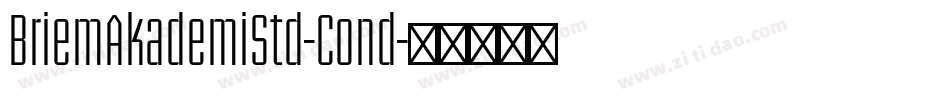 BriemAkademiStd-Cond字体转换