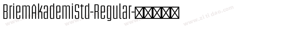 BriemAkademiStd-Regular字体转换