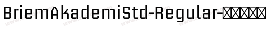 BriemAkademiStd-Regular字体转换